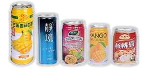 Hubei Baoli Technology Co., Ltd.